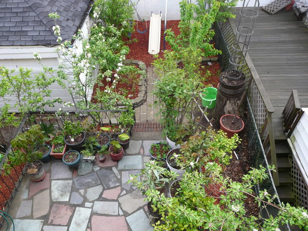 garden from 2nd floor